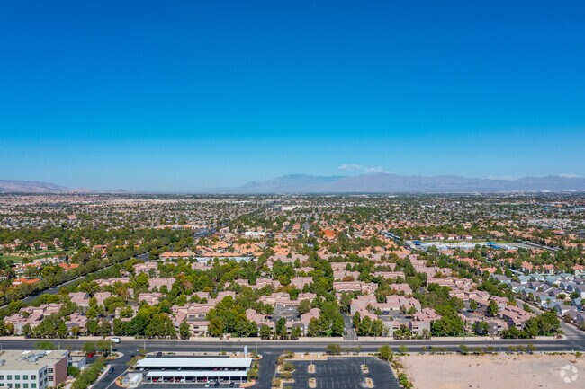 Photo - Spanish Palms