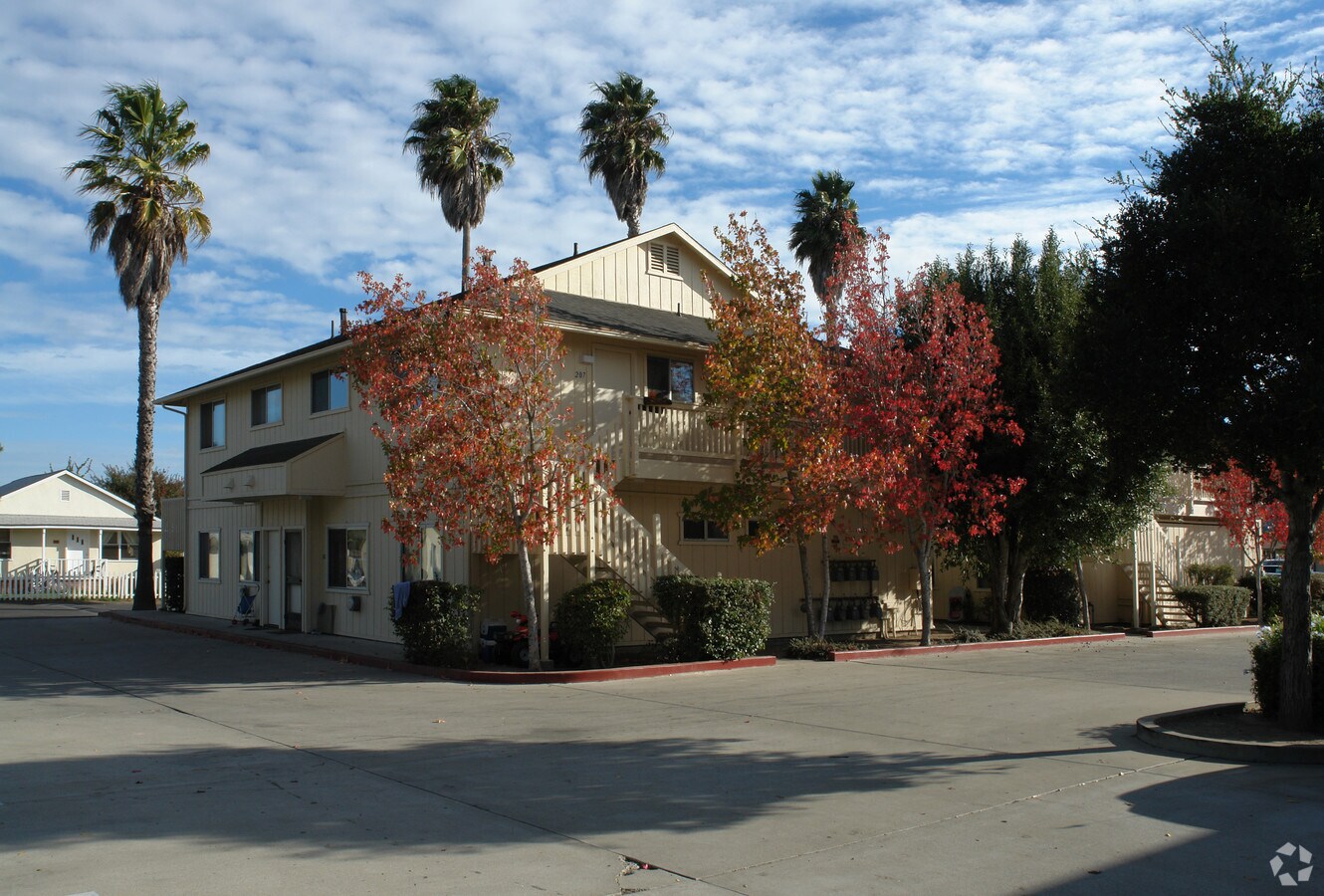 363 Palm Way - 363 Palm Way