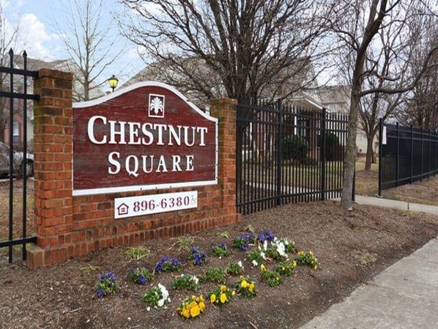 Chestnut Square