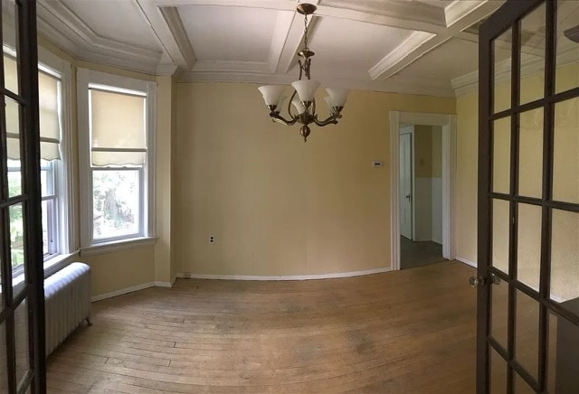 43 Nelson St