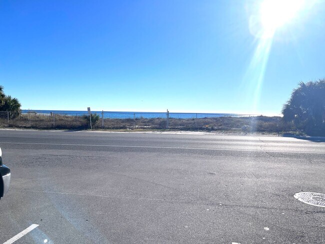 Photo - Poinsettia Unidad Poinsettia A