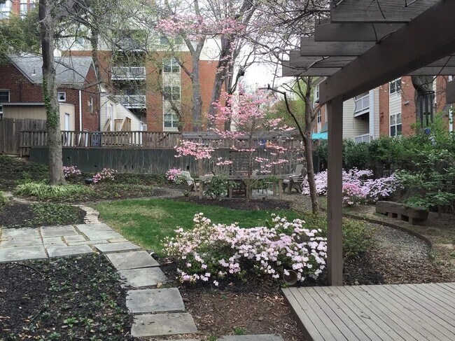 Arlington Courthouse Apartments