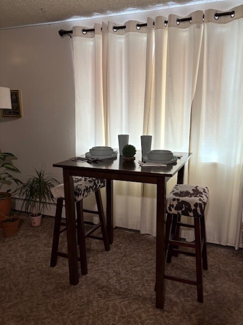 Photo - Kimberly Arms