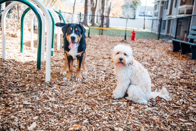 Photo - Appleton Square Methuen