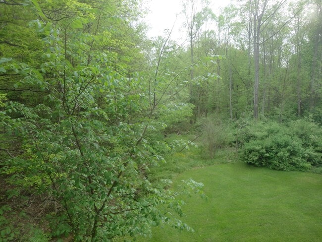Photo - 8110 Chagrin Rd