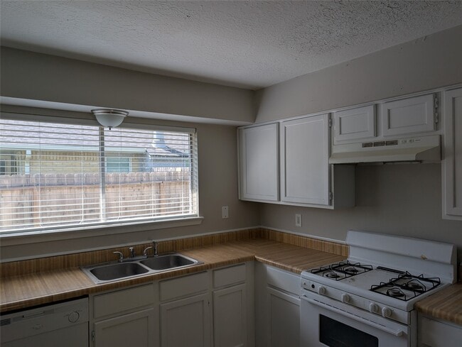 Photo - 11019 Clear Fork Dr