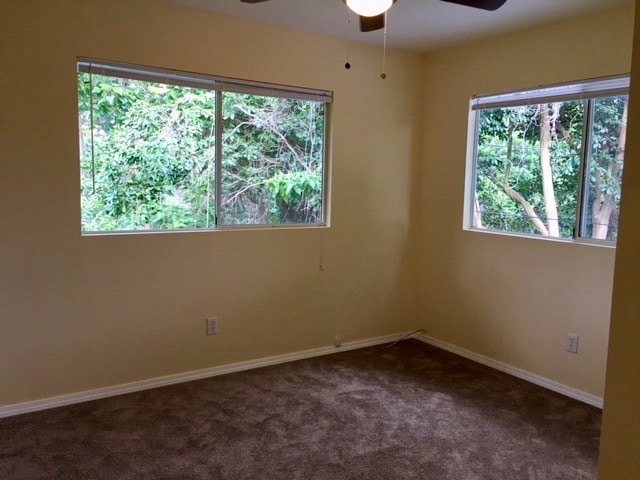 Photo - 74 -5051 Malia Pl