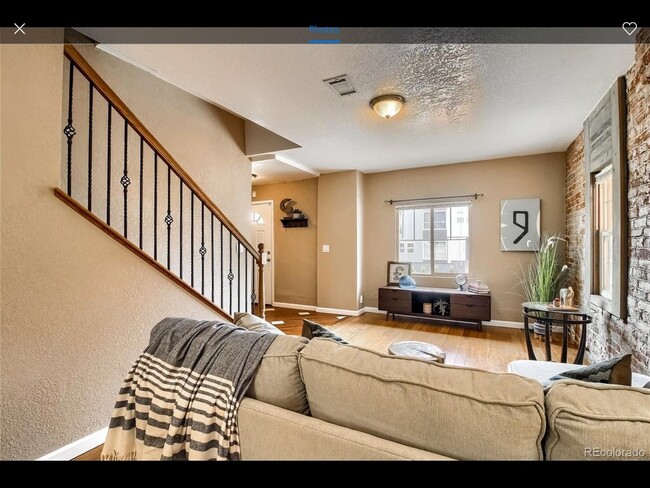Living Room - 3451 N Downing St Unit 1