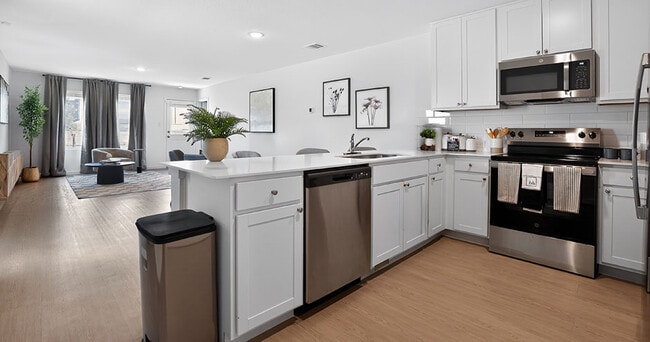 Vista at Avenida Rental Homes