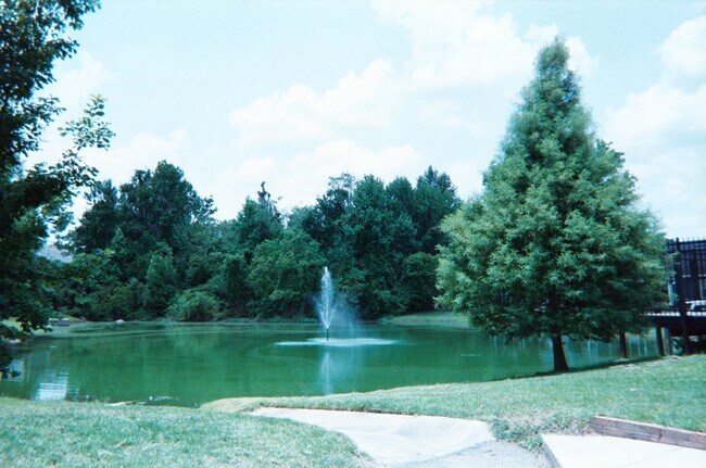 Photo - Mill Pond accross from G'ville Health and Fitness