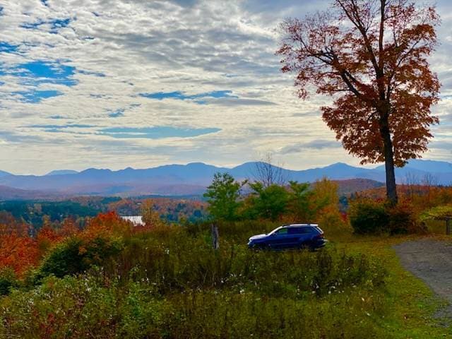 Photo - 63 Palisade Park Way