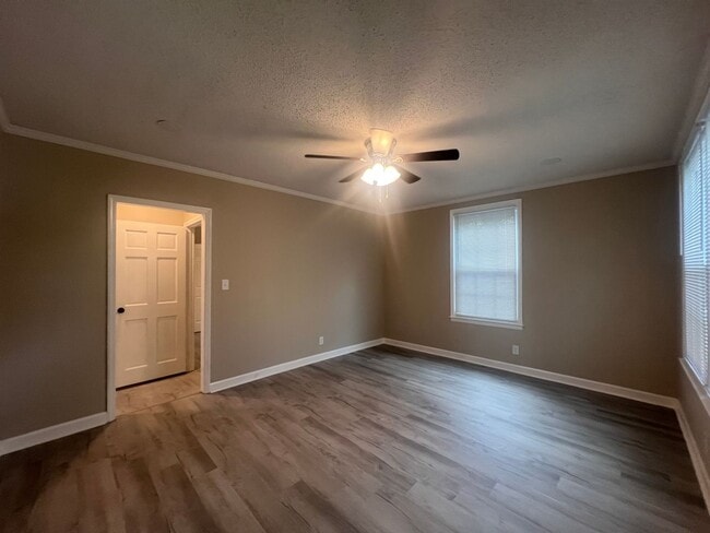 Photo - AVAILABLE TO SHOW!