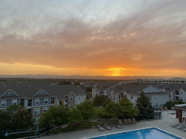 Photo - 10184 Park Meadows Dr Unit 1320