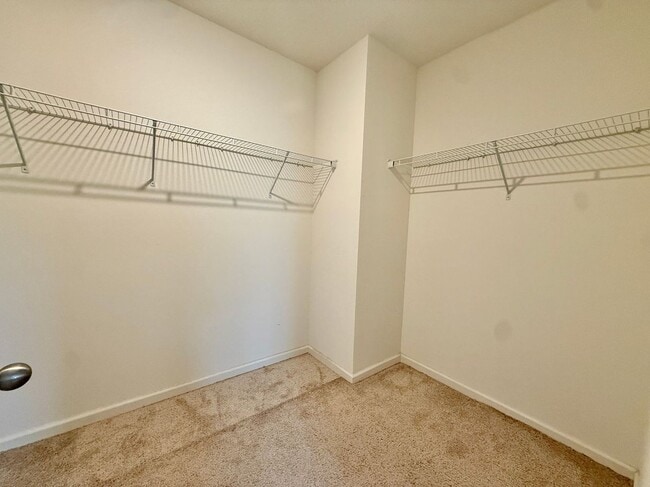 Photo - 259 Forest Trace Cir