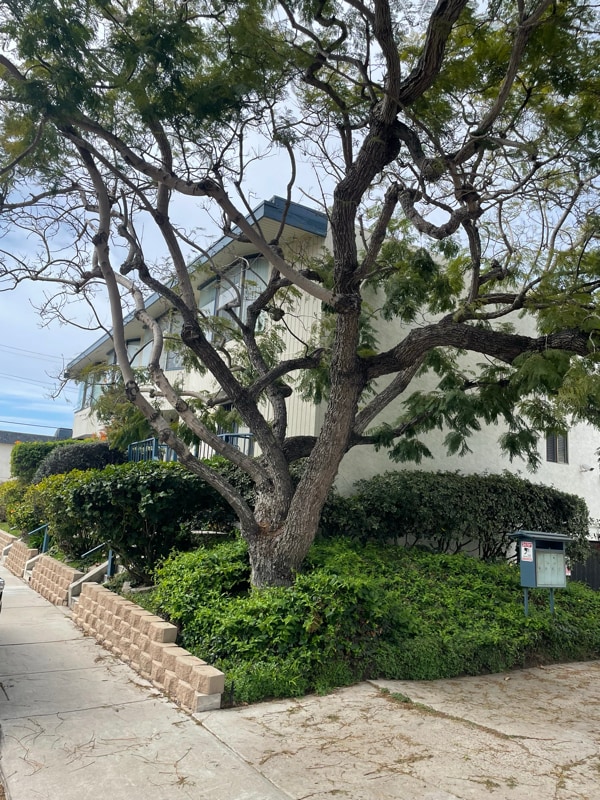 Photo - 1412 Graham St