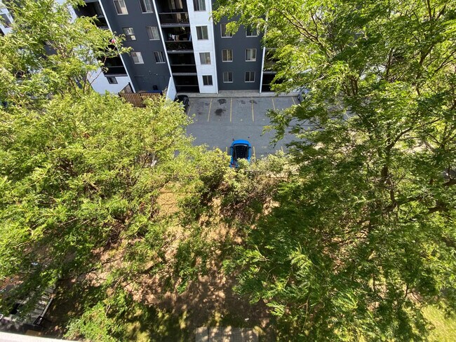 286 Chandler Dr