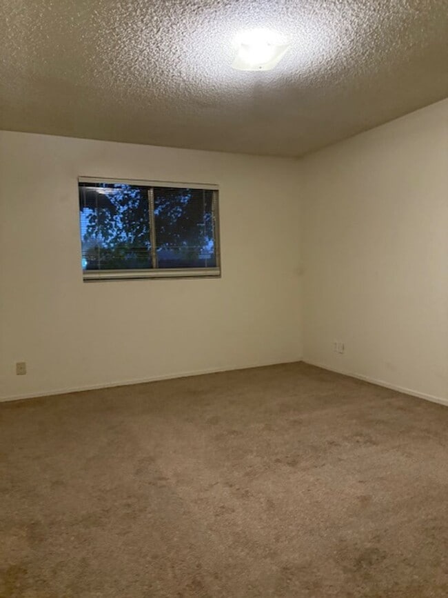 Photo - a0080 Unidad a0080#101