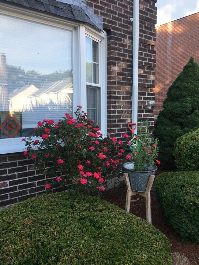 rosal - 13 Boylston Ln