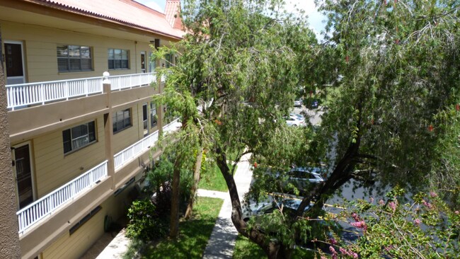 Photo - 2402 Ecuadorian Way Unit 50