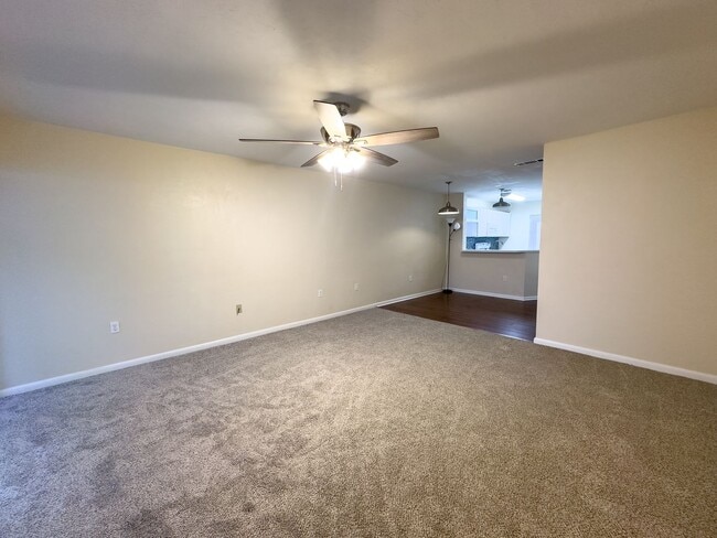 Photo - Bivens Forest #1416