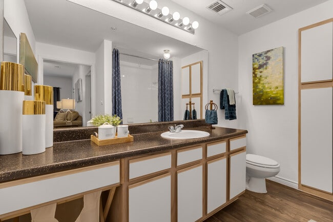 Photo - Vineyard Springs