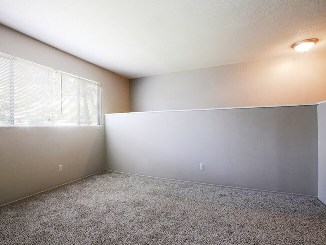 Carpeted Interiors