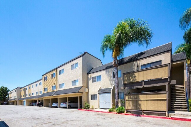 Photo - Orangewood Creek