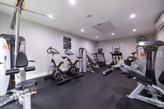 Gimnasio - 333 Holly