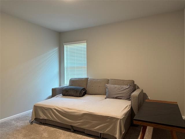 Photo - 3716 Cedar Elm Trl