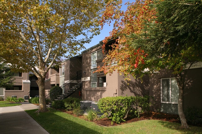 Photo - Mosaic Gardens at Taylor Terrace
