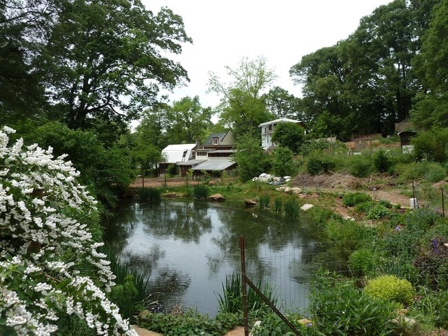 Photo - 317 Nelms Ave NE