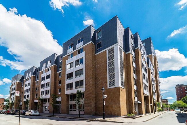 Photo - 178 Rue Sainte-Catherine E Unité SI ID1261755P