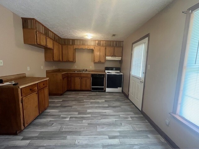 279 Easy Street Cove Unit 1