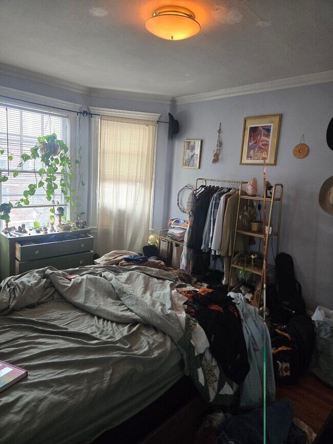 Building Photo - 16 Dighton St