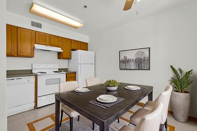 Photo - Homeward Bound