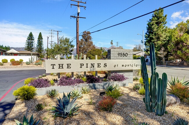 The Pines Apartments