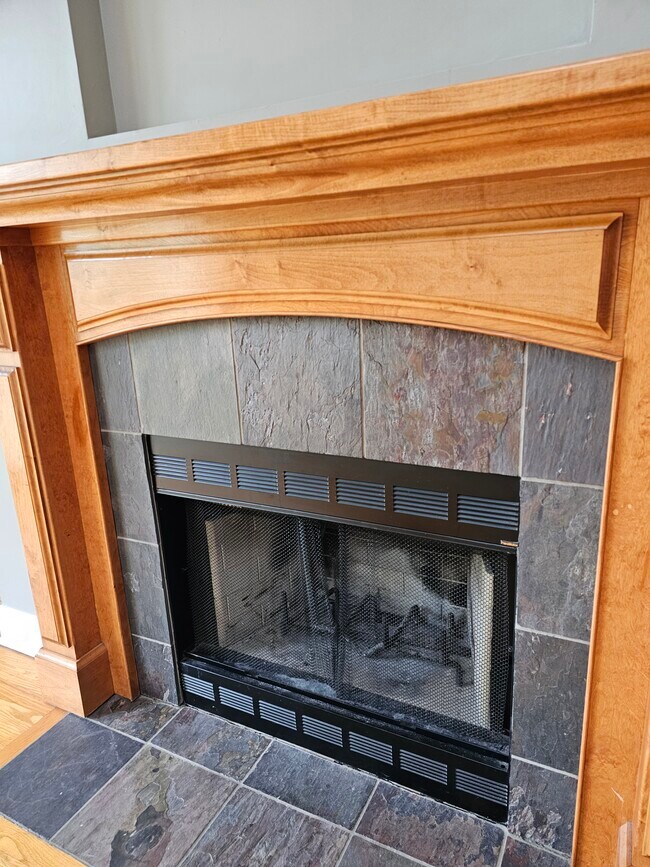Wood burning fireplace - 4933 N Winthrop Ave Unit 3N