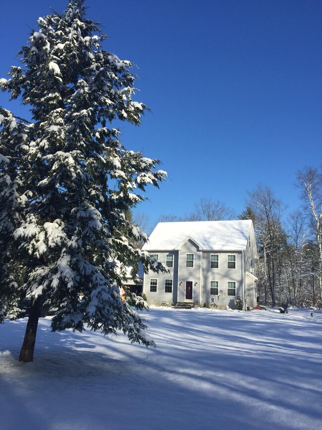 front yard view winter - 117 Cemetery Rd House