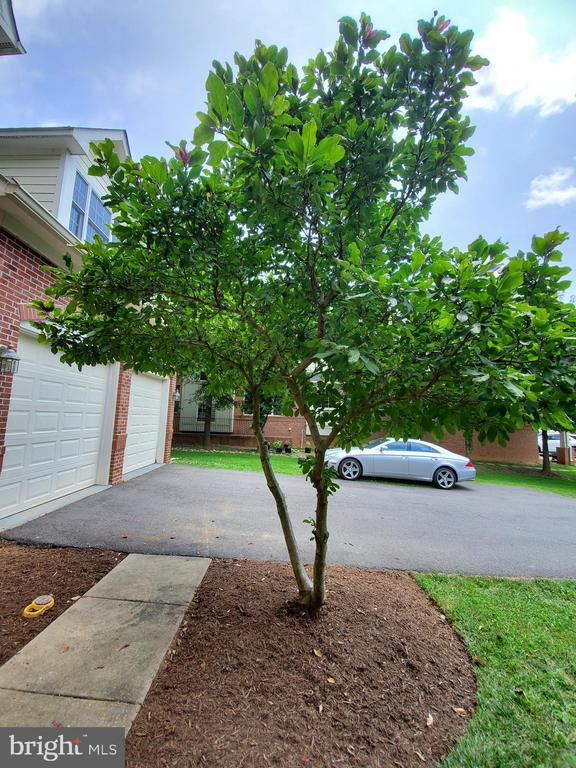 Photo - 3301 Buckley St