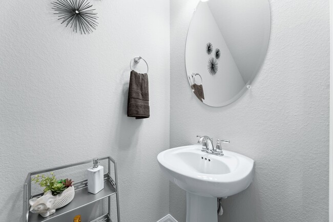 Photo - 1906 Texas Live Oak Ct
