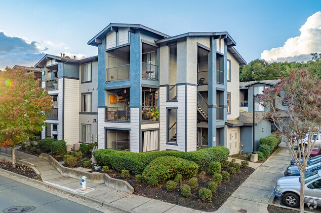 Photo - Acacia at Santa Rosa Creek