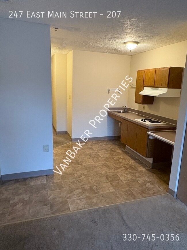 247 E Main St Unit 207