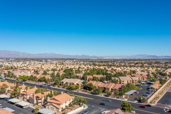 Photo - Copper Palms