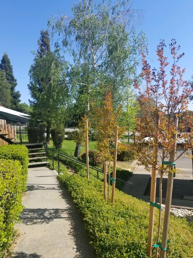 Photo - Parkview Apartments