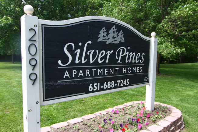 Silver Pines - Silver Pines Apartments