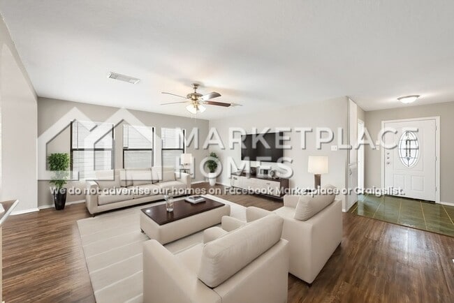 Photo - 7250 Dwarf Palm