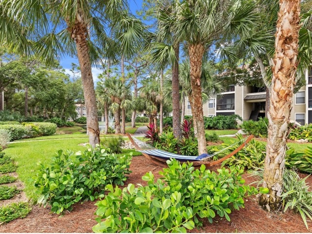 Hammocks in Lush Landscaping