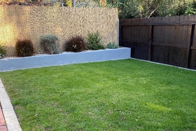 Front yard - 713 Amoroso Pl Unidad A