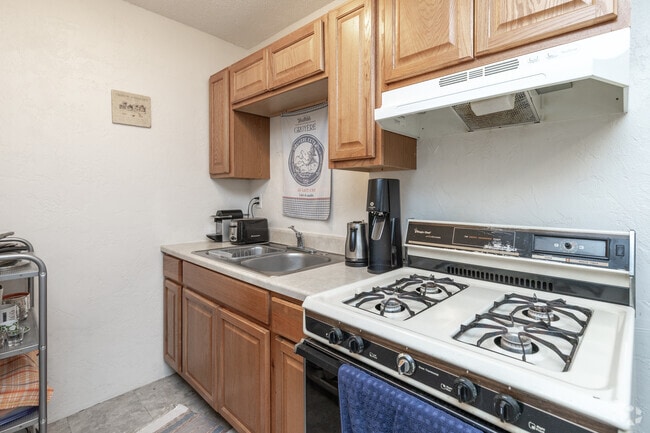 Studio - 500SF - Kitchen