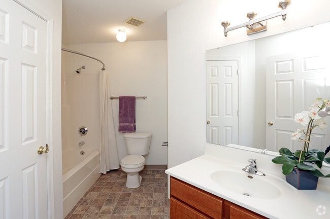 Interior Photo - Pine Tree Apartments